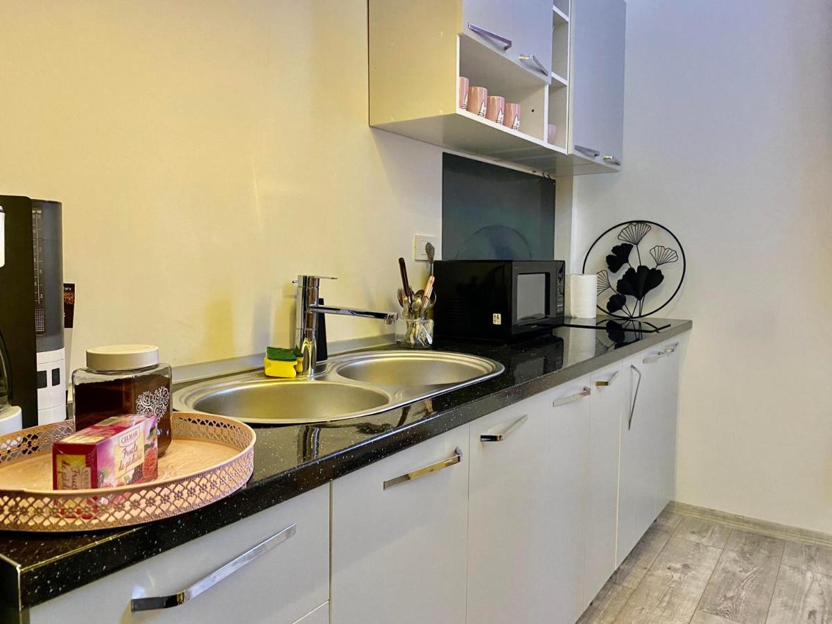 클루지나포카 The Central Apartament 아파트 외부 사진
