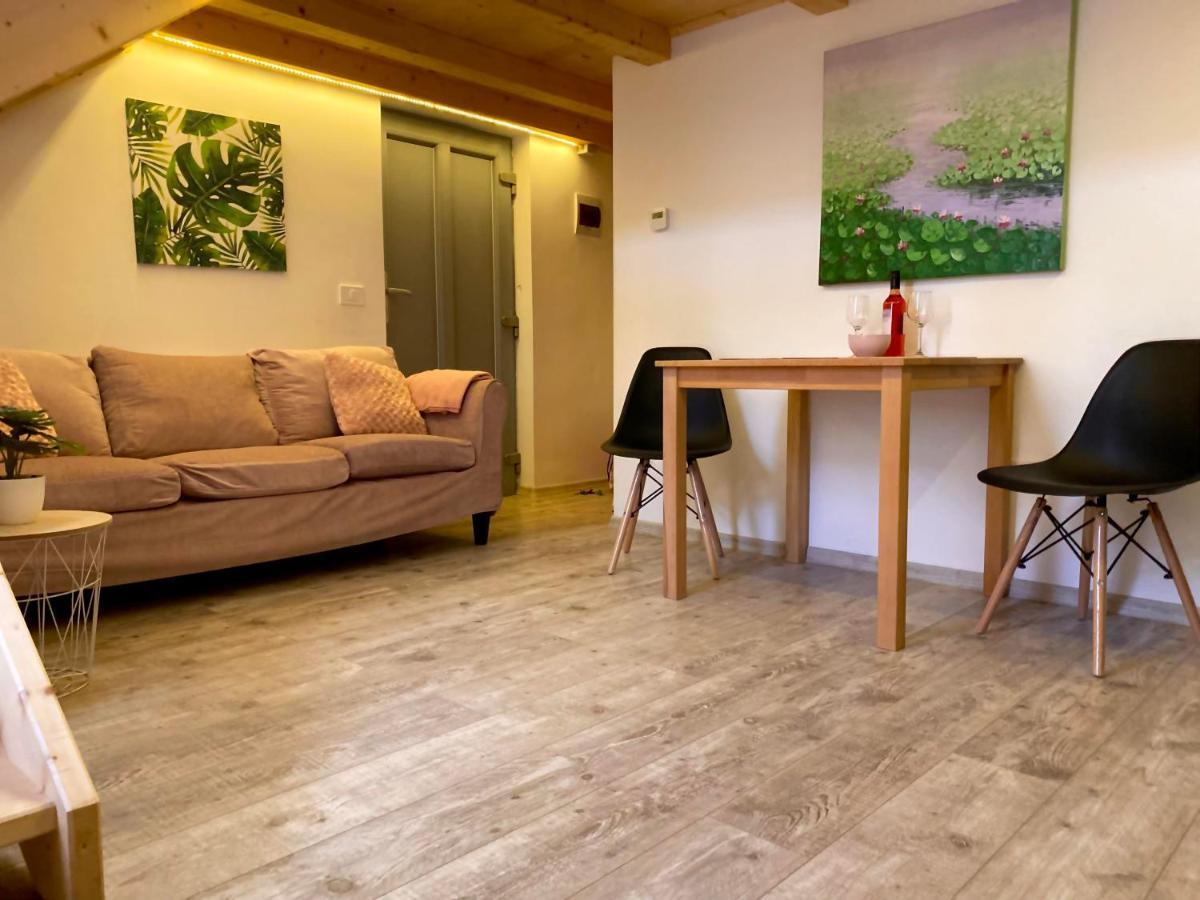 클루지나포카 The Central Apartament 아파트 외부 사진